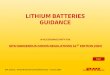 LITHIUM BATTERIES GUIDANCE - dhl.com · January 2019. 2019 Lithium Batteries Regulations: Battery Types. Step 1 – What type of battery are you shipping? Lithium Ion Batteries or