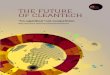 THE FUTURE OF CLEANTECH - European Institute of Innovation ... · investment levels the cleantech sector has suffered some setbacks. 2010 saw a significant decline in cleantech investment