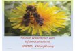Herzlich Willkommen zum Informationsabend VARROA ... · PDF fileVarroa-Befall kann sich vom Frühjahr bis zum Herbst unter optimalen Bedingungen um mehr als den Faktor 100 erhöhen