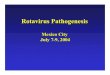 215 Richard Ward Mexico City Rotavirus Meeting (Rotavirus ... Ward.pdf · Rotavirus Pathogenesis Mexico City July 7-9, 2004. Diseases Associated with Rotavirus Infections 8Rotaviruses