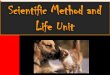 Scientific Method and Life Unit - drcroft.weebly.comdrcroft.weebly.com/uploads/3/7/5/7/37572715/scientific_method_and_life...Living Things 1. Organized – All living things are made
