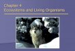Chapter 4 Ecosystems and Living 112/rav7e_ch04_ ¢  Chapter 4 Ecosystems and Living Organisms