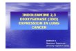 INDOLEAMINE 2,3 DIOXYGENASE (IDO) EXPRESSION IN LUNG … · INDOLEAMINE 2,3 DIOXYGENASE (IDO) EXPRESSION IN LUNG CANCER KERENIDI N. Respiratory Department, University hospital of