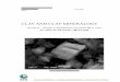 GEOLOGIAN TUTKUSKESKUS Espoo - tupa.gtk.fitupa.gtk.fi/raportti/arkisto/m19_3232_2008_41.pdf · clay minerals investigation, (5) formation and alteration of clay minerals, (6) industrial