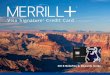 MERRILL · 6 Anytime, Anywhere™ Air Rewards1 With Anytime, Anywhere™ Air Rewards, redeem your Merrill Points® for air travel with no restrictions. Now, redeem 25,000 Merrill
