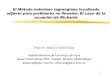 El Método euleriano lagrangiano localizado adjunto para ...mmc.igeofcu.unam.mx/smc-2004-2005/Archivos/ELLAM.pdf · en la solución de problemas lineales de transporte dominados por