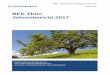 BFK Thun Jahresbericht 2017 · Impressum 2 Porträt 4 Rückblick auf das Jahr 2017 5 Personal 6 Öffentlichkeitsarbeit 7 BFK Integration 8 BFK Office 10 Coaching für Selbstzahlende
