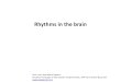 Rhythms in the brain - Neuroscience in Creier_Partea 1_AMZ.pdf · Rhythms in the brain Conf. univ. Ana-Maria Zagrean Disciplina Fiziologie si Neurostiinte Fundamentale, UMF Carol