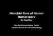 Microbial Flora of Normal Human Body - Near East University · Microbial Flora of Normal Human Body . Normal Microbial Flora •Skin •Conjunctivae •Oral Cavity •Upper respiratory