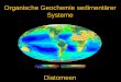 Organische Geochemie sedimentärer Systeme fileDiatoms are a major group of algae and with ca. 45 % are responsible for most of the primary production in the present-day oceans. A