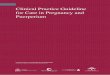 Clinical Practice Guideline for Care in Pregnancy and ... · 6. Care during Puerperium 263 6.1. Hospital care during puerperium 263 6.2. Discharge and advice on care during the puerperium