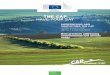 THE CAP HAVE YOUR SAY - European Commission · THE CAP HAVE YOUR SAY MODERNISING AND SIMPLIFYING THE CAP WORKSHOPS FOR IMPACT ASSESSMENT Best practices addressing environmental and