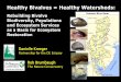 Healthy Bivalves = Healthy Watersheds · Healthy Bivalves = Healthy Watersheds: Rob Brumbaugh The Nature Conservancy. To be discussed The Delaware Estuary Watershed - orientation,