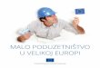 Malo poduzetništvo u velikoj europi - udruga-gradova.hr¡ura... · Cilj projekta „Malo poduzetništvo u velikoj Europi“ bio je informirati male i srednje poduzetnike o promjenama