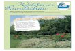 Wehlener Rundschau - wehlen-online.de · Pirna, 19.06.18; BM (selbst verhindert) bittet um zahlreiche Teilnahme - Imkerverein: Informationen zu geplanten Projekten (Antrag auf Bereitstellung