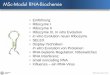 MSc-Modul RNA-Biochemie file•small noncoding RNA •Influenza –ein RNA-Virus RNA Biochemie 02/1 MSc-Modul RNA-Biochemie. Protein-Welt RNA-Welt Prä-RNA-Welt RNA Biochemie 02/2