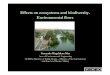 Effects on ecosystems and biodiversity. Environmental Effects on ecosystems and biodiversity. Environmental