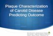 Plaque Characterization of Carotid disease Predicting Outcome · Plaque Characterization of Carotid Disease Predicting Outcome Mark Wholey M.D. Medicall Director Peripheral and Neurovascular