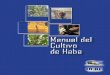 Manual del Cultivo de Haba - amdeco.org.boamdeco.org.bo/archivos/manualdelcultivodelhaba.pdf · tipos de ganado. • Fuente proteica en la alimentación de las familias del área
