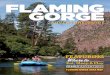 FLAMING GORGE · were early visitors during their scientiﬁc explorations of the West. In his 1869 journey down the Green River, Powell named many local landmarks: Flaming Gorge,