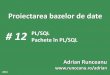 # 12 PL/SQL Pachete în PL/SQL Adrian Runceanu · 1. Crearea pachetelor Am studiat pana acum cum sa cream si cum sa folosim procedurile si functiile. Sa presupunem ca vrem sa cream