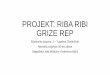 PROJEKT: RIBA RIBI GRIZE REPdjecji-vrtic-pahuljica.hr/wp-content/uploads/2015/10/Riba-ribi-grize-rep.pdf · ribolova sa štapom (magnet štap i magnet ribice – suradnja s roditeljem)