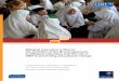Bilingual education in Brunei: the evolution of the Brunei ... · Bilingual education in Brunei: the evolution of the Brunei approach to bilingual education and the role of CfBT in
