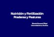 Nutrición y Fertilización Praderas y Pasturaspraderasypasturas.com/files/menu/catedras/praderas_y_pasturas/2013/29... · • El fósforo es esencial para numerosos procesos metabólicos