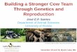 Building a Stronger Cow Team Through Genetics and Reproduction · Move Cows to Prepartum Weekly moves 255 ± 3 d of gestation Target 3 weeks in the prepartum pen and assure than all