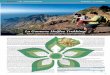La Gomera: Heißes Trekking! - app.viator-workspace.deapp.viator-workspace.de/image/19/1540/3342/HTGO-2019-La-Gomera-Heisses... · DATENSCHUTZERKLÄRUNG PURA 114 Datenschutzinformationen