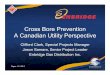 Cross Bore Prevention A Canadian Utility Perspectivecrossboresafety.org/documents/Cross Bore Prevention - A Canadian... · Cross Bore Prevention A Canadian Utility Perspective Paper