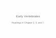 Early VertebratesEarly Vertebratesbrtc.tamu.edu/files/2012/06/Early-Vertebrates-Compatibility-Mode2.pdf · Vertebrata: Agnathans, jawless fishesVertebrata: Agnathans, jawless fishes