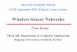Wireless Sensor Networks DemAAL Summer School 16-20 September 2013, Chania, Crete, Greece Wireless Sensor