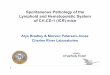 Spontaneous Pathology of the Lymphoid and Hematopoietic ... · Spontaneous Pathology of the Lymphoid and Hematopoietic System of Crl:CD-1 Mice Thymus Findings 8 Lymphoid depletion