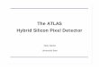 The ATLAS Hybrid Silicon Pixel Detector · The ATLAS Pixel Detektor. CBM, GSI Darmstadt 14.5.2002, P. Fischer 32 Results of single chip & module prototypes Cable to power & DAQ LVDS