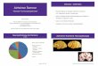 Alzheimer Demenz - Neueste Forschungsergebnisse · PET- Darstellung der Amyloid-Pathologie Clark et al., JAMA, 2011 Chronologisches Markermodell der Alzheimer-Krankheit Jack et al.,