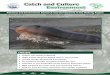 Aquaculture Catch and Culture - Environment · 2018-11-25 · 2 Catch and Culture Environment Volume 22, No. 2 September 2016 Aquaculture Catch and Culture - Environment is published