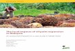 The local impacts of oil palm expansion in Malaysia · 2012-03-26 · The local impacts of oil palm expansion in Malaysia An assessment based on a case study in Sabah State Awang