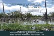 REHABILITATION OF MANGROVES IN SABAHRehabilitation of Mangroves in Sabah, a collaborative project between SFD and ISME. Fidelis Edwin BAJAU Fidelis Edwin Bajau, the Deputy Director