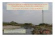 PROTECCION DE TORRES ELECTRICAS DE ALTA TENSIÓN CON ... · proteccion de torres electricas de alta tensiÓn con vetiver en venezuela o.luque, r.luque, a. maldonado vetiver antierosion