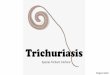 Trichuriasis - Hochberg LabTrichuriasis • Infects; • Wild/domestic canines • Wild/domestic pigs • Humans • Non human primates Xie, Y. et al. Genetic characterization and