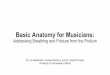 Basic Anatomy for Musicians - University of Tennessee at Martin Anatomy for... · Basic Anatomy for Musicians: Addressing Breathing and Posture from the Podium Dr. Liz Aleksander,