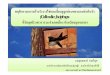 (Collocalia fuciphagabioff.forest.ku.ac.th/PDF_FILE/FEB_2012/15_5.pdf · ลําดับอนุกรมวิธาน นกแอ นกินรังมีชื่อสามัญว