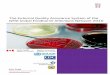 The External Quality Assurance System of the WHO Global ...antimicrobialresistance.dk/CustomerData/Files/... · Susceptibility results had to be interpreted on an individual basis