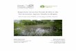 Important Areas for Ponds (IAPs) in the …...Important Areas for Ponds (IAPs) in the Environment Agency Southern Region Helen Keeble, Penny Williams, Jeremy Biggs and Mike Athanson