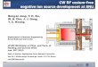 CW RF cesium-free negative ion source development at SNUpsl.postech.ac.kr/kjw13/talks/Jung.pdf · 2013-02-19 · CW RF cesium-free negative ion source development at SNU Bong-kiJung,