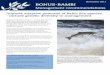 BONUS-BAMBIBONUS-BAMBI Management recommendations November 2017 Genetic diversity not considered in MPA management Halting the loss of biodiversity is a global priority included in