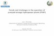 Trends and challenges in the operation of pumped …...Trends and challenges in the operation of pumped-storage hydropower plants (PSHP) Juan I. Pérez-Díaz Department of Hydraulic,