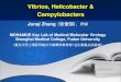 Vibrios, Helicobacter & Campylobactersfdjpkc.fudan.edu.cn/_upload/article/files/7b/c9/... · 2018-01-20 · 10/14/2013 Vibrios, Helicobacter & Campylobacters/ Junqi Zhang 14 Pathogenisis