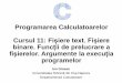 Programarea Calculatoarelor Cursul 11: Fișieretext ...users.utcluj.ro/~igiosan/Resources/PC/Curs/C11.pdfProgramarea Calculatoarelor Cursul 11: Fișieretext.Fișiere binare. Funcții